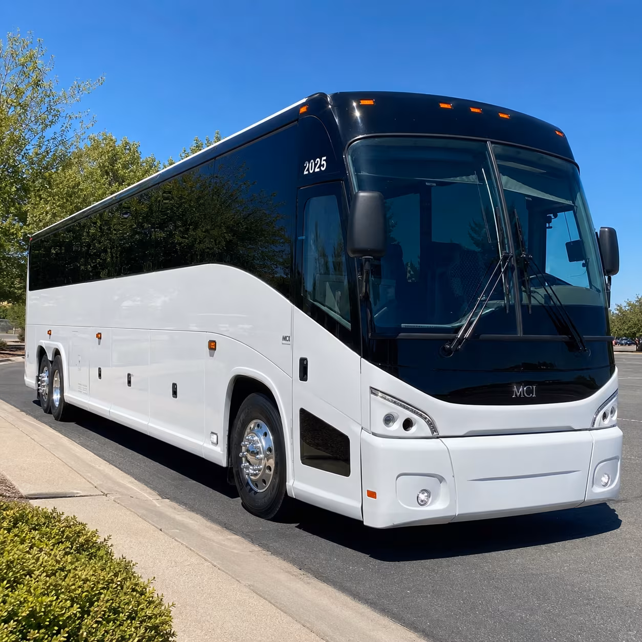 clearwater book a charter bus for your clearwater field trip