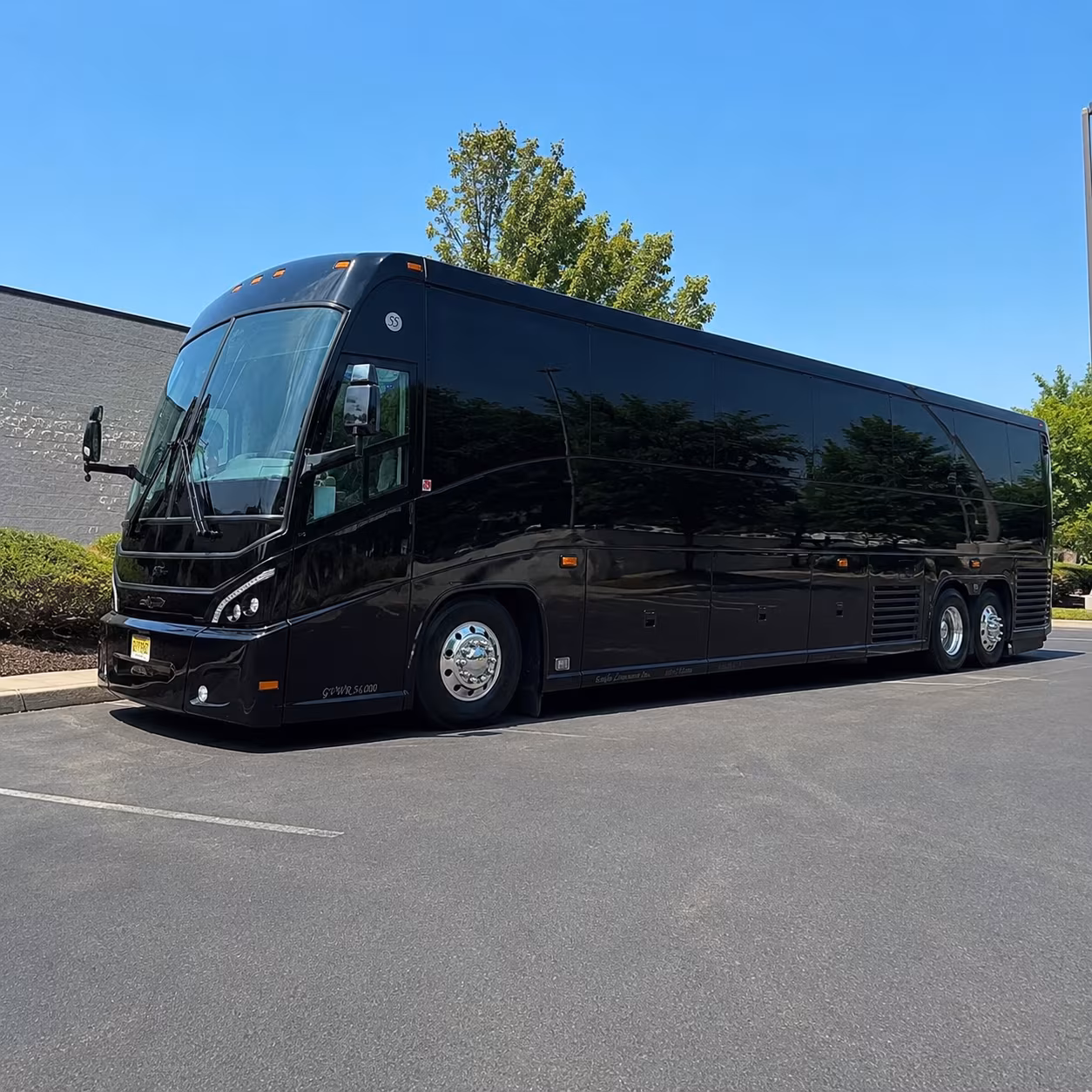 clearwater book your clearwater wedding charter bus rental