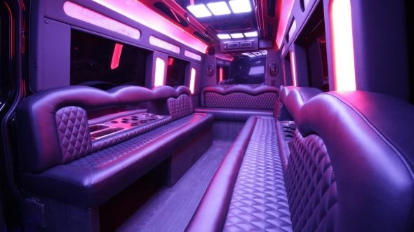 bradenton sprinter limo rental inside